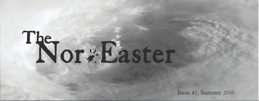 Nor'easter graphic